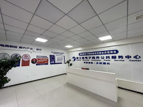 电商经济助力乡村振兴，绥江开启共同富裕新征程——个人商务服务蓬勃发展